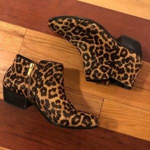 Sam Edelman Leopard Haircalf Ankle Booties